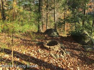 542 Penn Run Rd, Bee Spring, KY 42207 photo 2