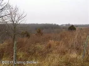 40 Ockerman Rd, Bloomfield, KY 40008 photo 1