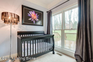6904 Bridgepointe Blvd, Prospect, KY 40059 photo 18