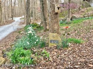 823 Penn Run Rd, Bee Spring, KY 42207 photo 4