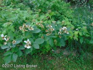 511 Brownsboro Rd, Pendleton, KY 40055 photo 31