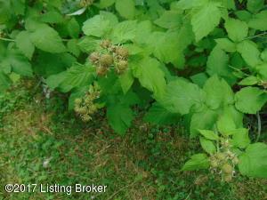 511 Brownsboro Rd, Pendleton, KY 40055 photo 32