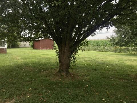 263 Sandra Dr, Mount Washington, KY 40047 photo 15
