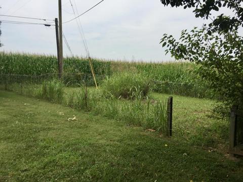 263 Sandra Dr, Mount Washington, KY 40047 photo 14