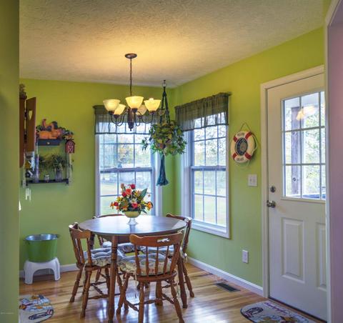 325 Axtel Loop Cir, Mc Daniels, KY 40152 photo 11