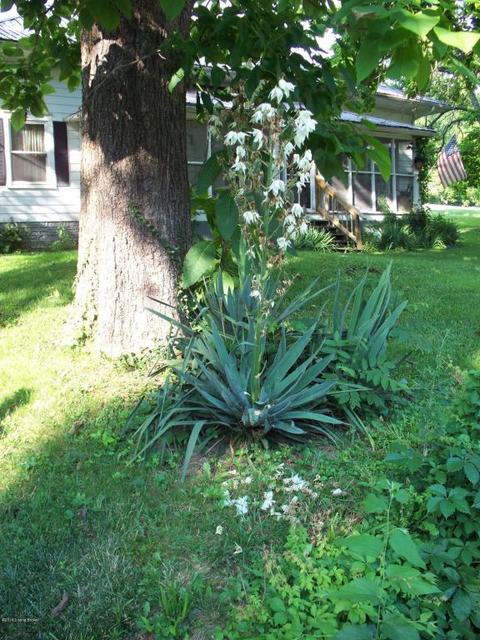 618 Graefenburg Rd, Waddy, KY 40076 photo 3