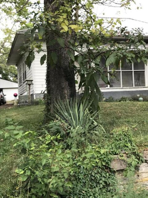 618 Graefenburg Rd, Waddy, KY 40076 photo 2