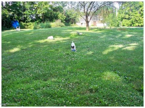 618 Graefenburg Rd, Waddy, KY 40076 photo 10