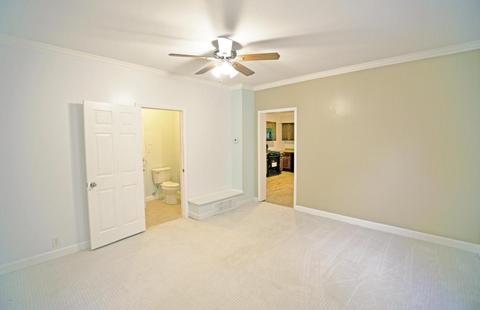 707 E Ormsby Ave, Louisville, KY 40203 photo 9