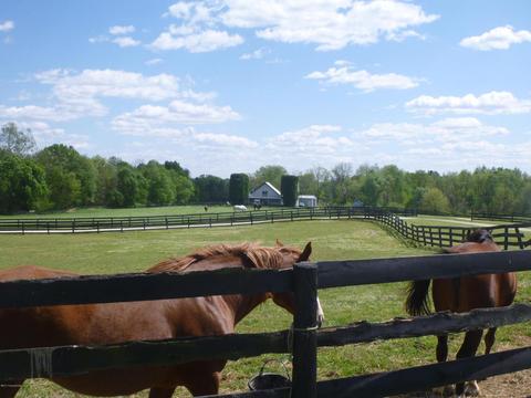 998 Webbtown Rd, Pendleton, KY 40055 photo 8