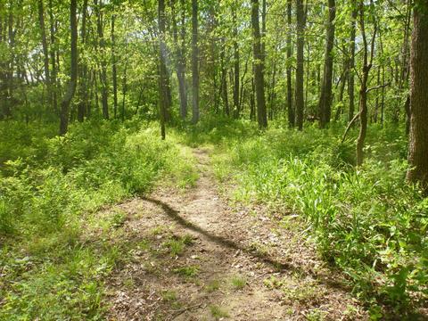 998 Webbtown Rd, Pendleton, KY 40055 photo 17