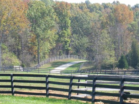998 Webbtown Rd, Pendleton, KY 40055 photo 3
