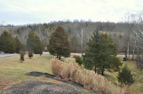 3708 Valley Creek Dr, Pendleton, KY 40055 photo 42