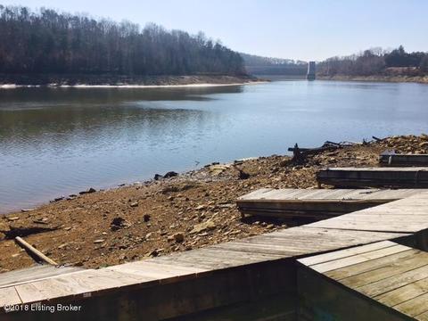 331 Bradford Ln, Bee Spring, KY 42207 photo 3