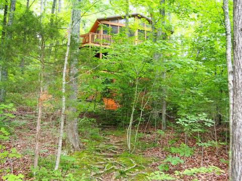 504 Penn Run Rd, Bee Spring, KY 42207 photo 36