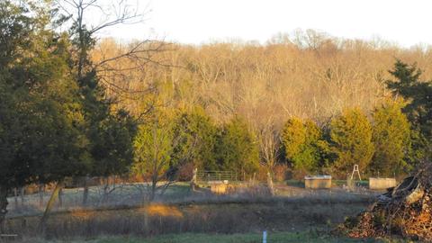 153 Ridge Top Rd, Pendleton, KY 40055 photo 4