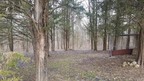 570 Cedar Run Rd, Pendleton, KY 40055 photo 49