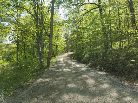 489 Logan Ln, Pendleton, KY 40055 photo 45
