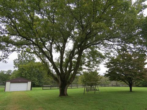 3703 E Hwy 42, Pendleton, KY 40055 photo 44