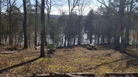 520 Comanche Dr, Cub Run, KY 42729 photo 7