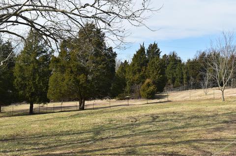 125 Ashfork Rd, Pendleton, KY 40055 photo 41