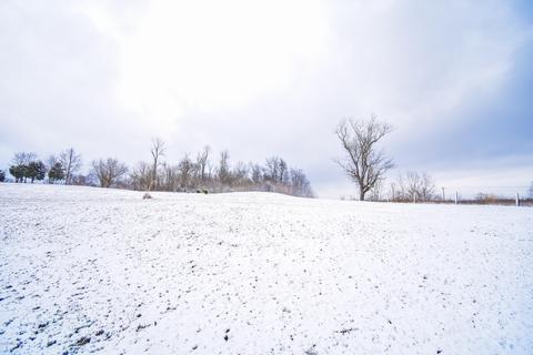 355 Graves Dr, Smithfield, KY 40068 photo 56