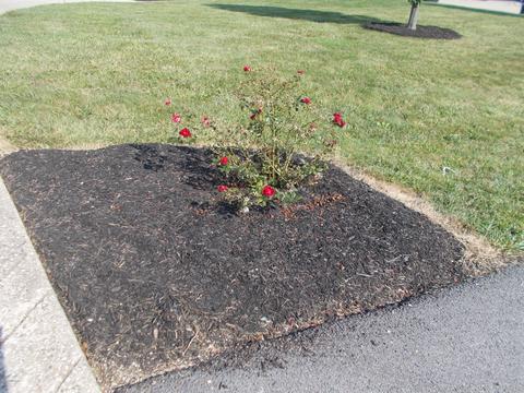 115 Jericho Ridge Rd, Smithfield, KY 40068 photo 116