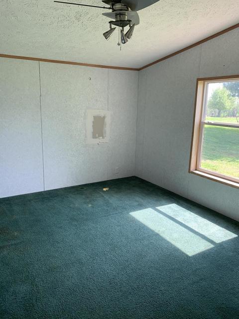 7633 Bethlehem Rd, Bethlehem, KY 40007 photo 16