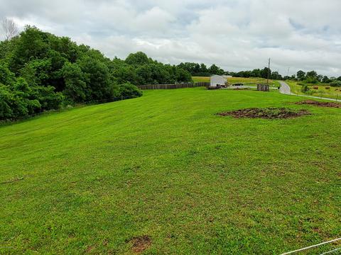 812 Kirsch Ln, Springfield, KY 40069 photo 7