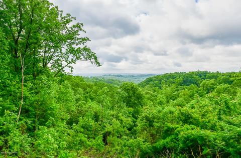 246 New Ed Quick Rd, Brooks, KY 40109 photo 16