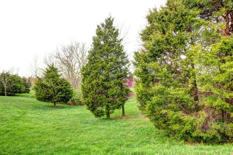 51 Silverview Rd, Smithfield, KY 40068 photo 51