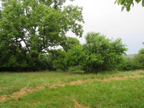 385 Wolfpen Rd, Pendleton, KY 40055 photo 20