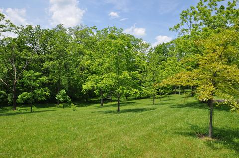 8868 Lagrange Rd, Smithfield, KY 40068 photo 97