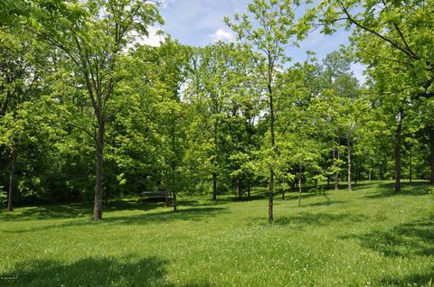 8868 Lagrange Rd, Smithfield, KY 40068 photo 95