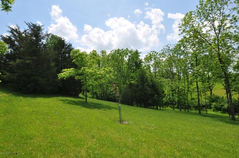 8868 Lagrange Rd, Smithfield, KY 40068 photo 98