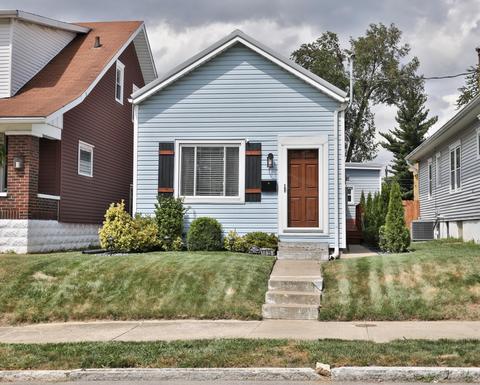 Bright Pest Control Louisville Ky | Pest Control