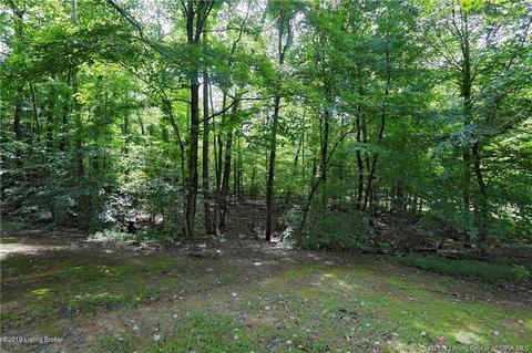 6208 Scottsville Rd, Floyds Knobs, IN 47119 photo 65