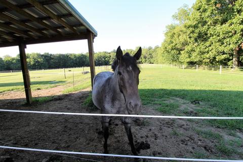 712 Foxboro Rd, Pendleton, KY 40055 photo 3