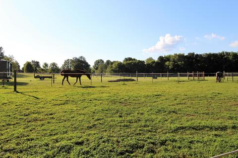 712 Foxboro Rd, Pendleton, KY 40055 photo 5