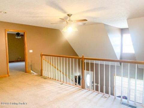 166 Shellie Dr, Leitchfield, KY 42754 photo 19