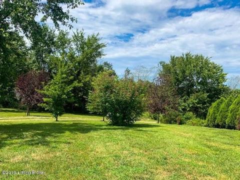 166 Shellie Dr, Leitchfield, KY 42754 photo 5