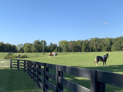 9150 Cooks Mill Rd, Georgetown, IN 47122 photo 52