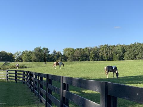 9150 Cooks Mill Rd, Georgetown, IN 47122 photo 53