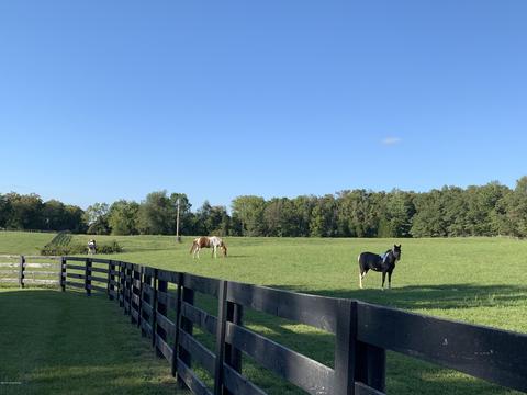 9150 Cooks Mill Rd, Georgetown, IN 47122 photo 51