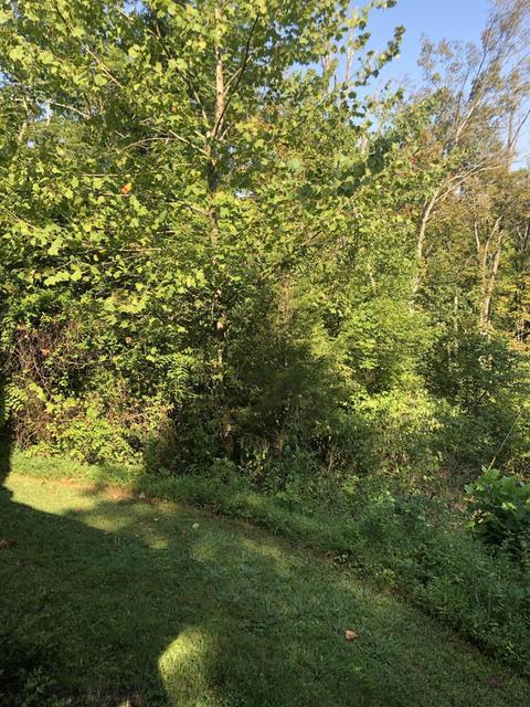 997 Wooded Hills Dr, Pendleton, KY 40055 photo 14
