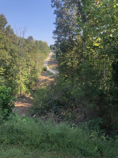 997 Wooded Hills Dr, Pendleton, KY 40055 photo 15