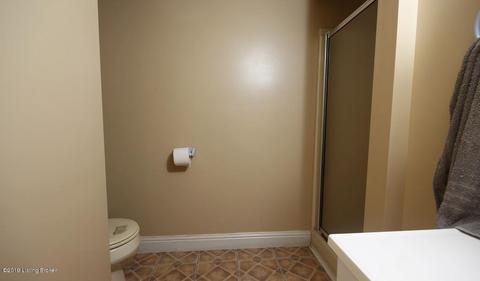 448 E Millerstown Rd, Upton, KY 42784 photo 64