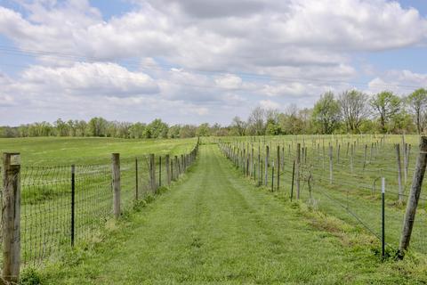 3205 Springfield Rd, Bloomfield, KY 40008 photo 42