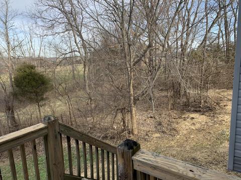 22 Cedar Run Rd, Pendleton, KY 40055 photo 27