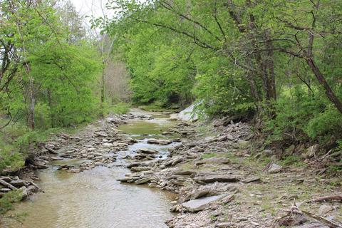 2801 Pattons Creek Rd, Pendleton, KY 40055 photo 55